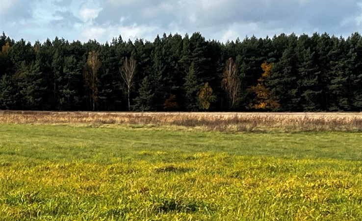 działka na sprzedaż - Łabiszyn (gw), Nowe Dąbie
