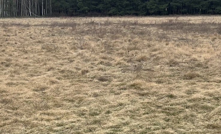 działka na sprzedaż - Łabiszyn (gw), Nowe Dąbie