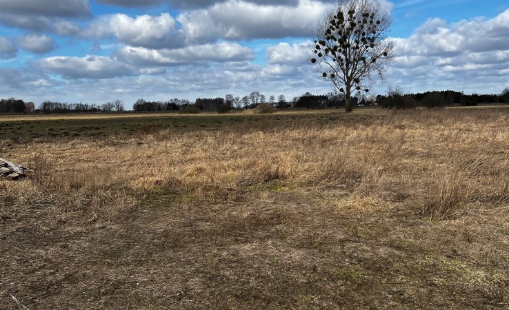 działka na sprzedaż - Łabiszyn (gw), Jabłówko
